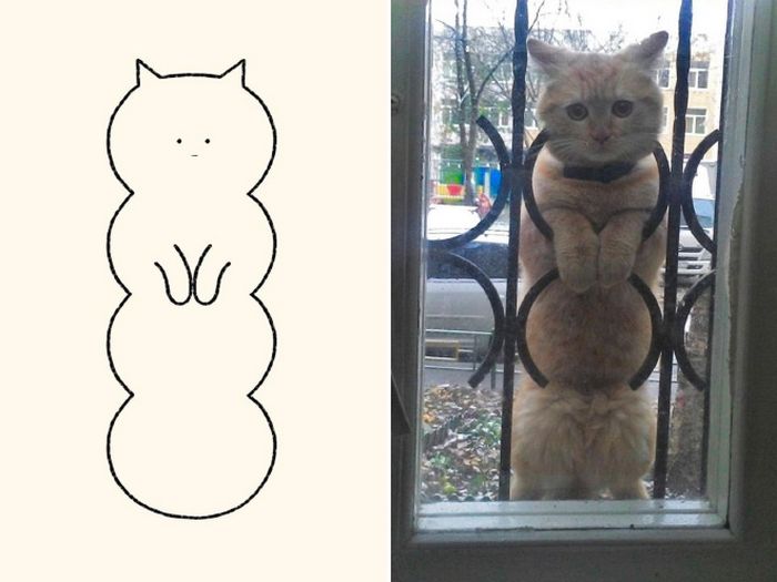 21 desenhos de gato realmente precisos 20