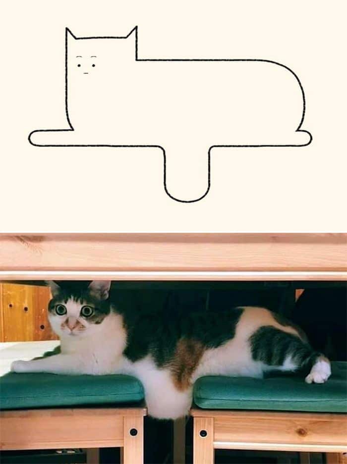 21 desenhos de gato realmente precisos 21