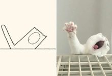 21 desenhos de gato realmente precisos 1
