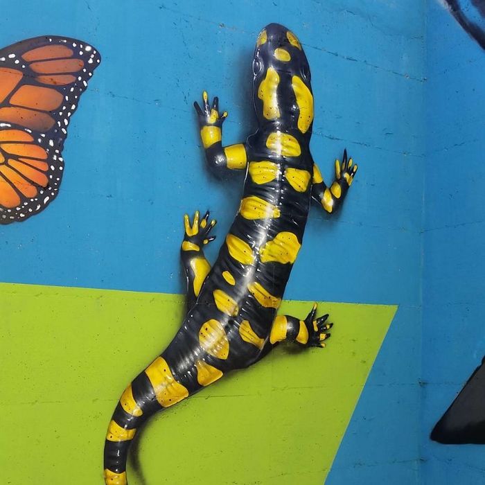 30 fotos de arte de rua em 3D que interagem com seus arredores 3