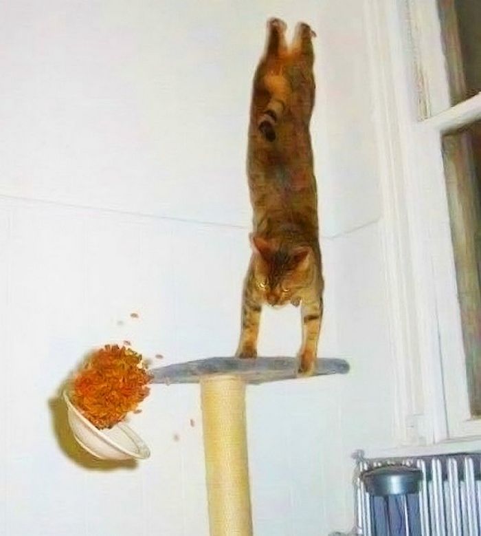 24 fotos tiradas um segundo antes de uma pequena catástrofe 16