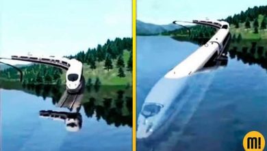 Ideias que Podem se tornar Realidade em 2020 8