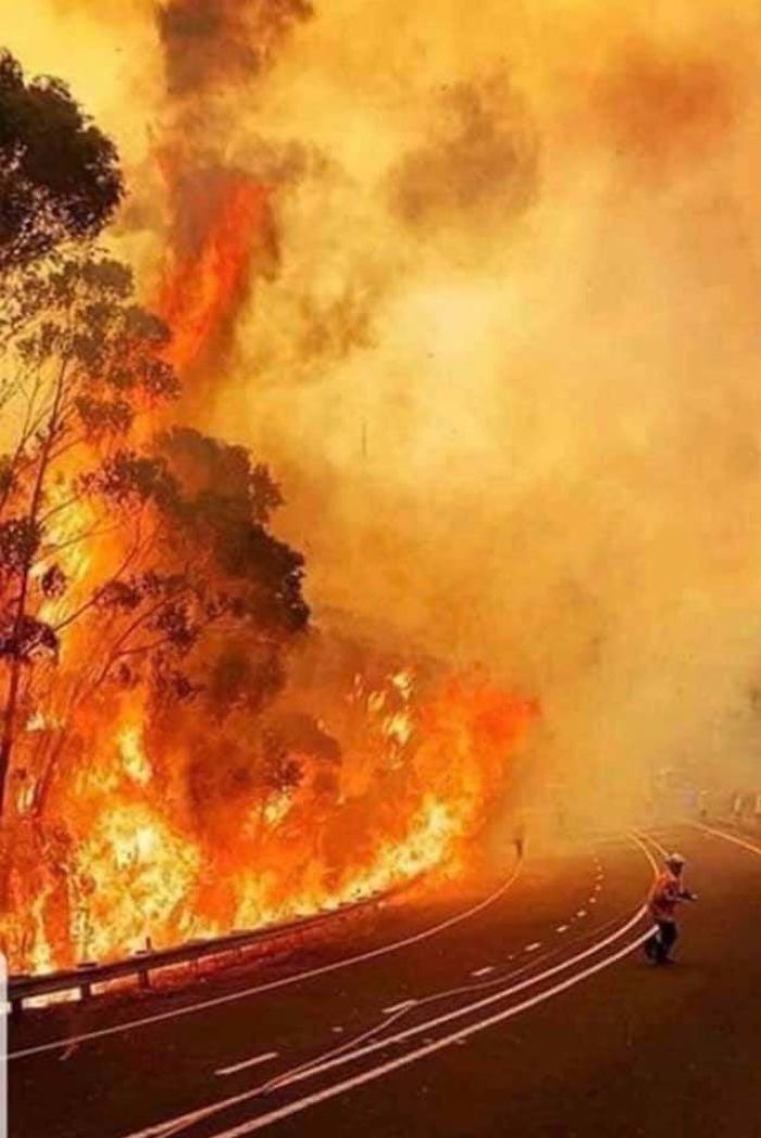 36 imagens que mostram os horrores dos incêndios na Austrália 6