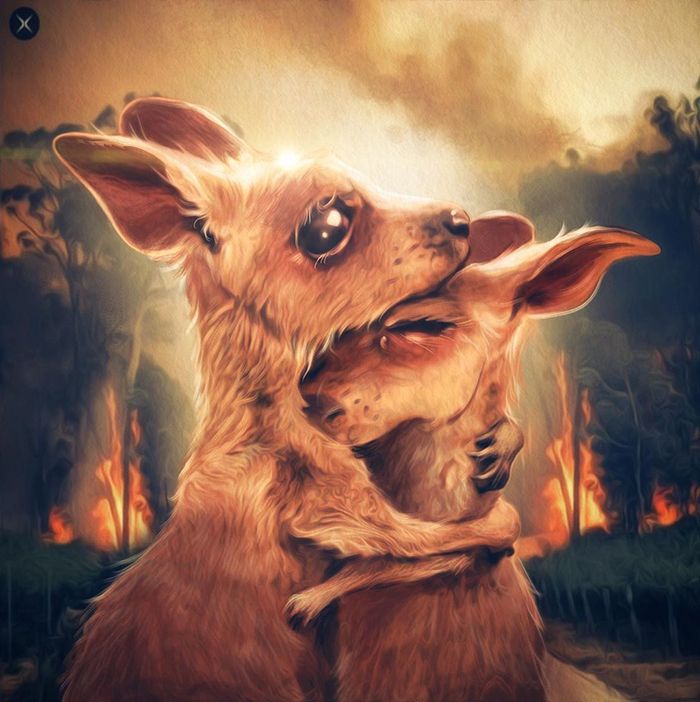 Pessoas de todo o mundo estão compartilhando arte de tributo aos incêndios florestais australianos (30 fotos) 10