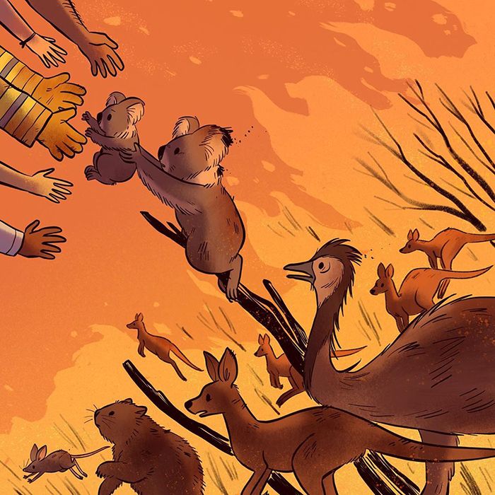 Pessoas de todo o mundo estão compartilhando arte de tributo aos incêndios florestais australianos (30 fotos) 22