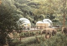 Você pode dormir em uma bolha transparente cercada por elefantes 4