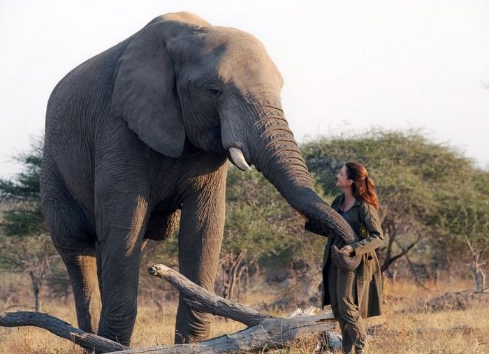 12 animais perigosos que geralmente achamos bonitinhos e indefesos 11