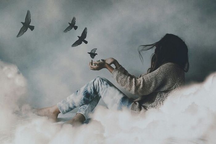 5 crônicas engraçadas que você deveria ler 4