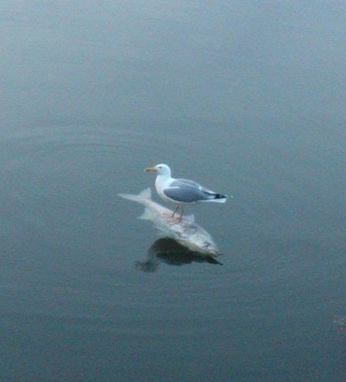 Essas 24 coincidências são brilhantes! 2