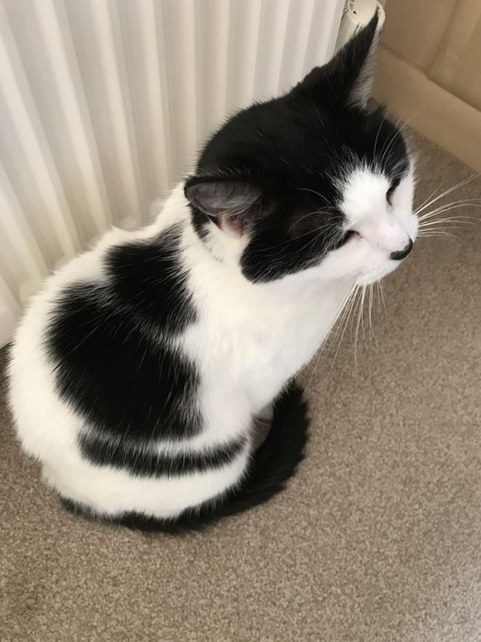 Essas 24 coincidências são brilhantes! 3