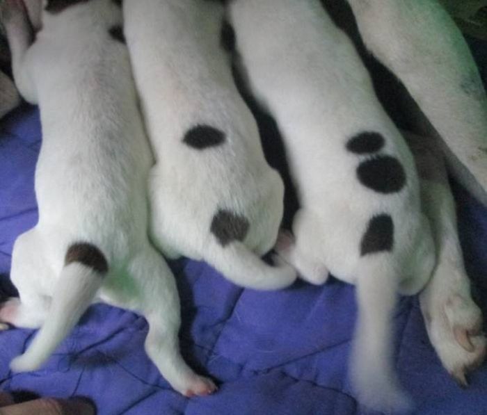 Essas 24 coincidências são brilhantes! 13