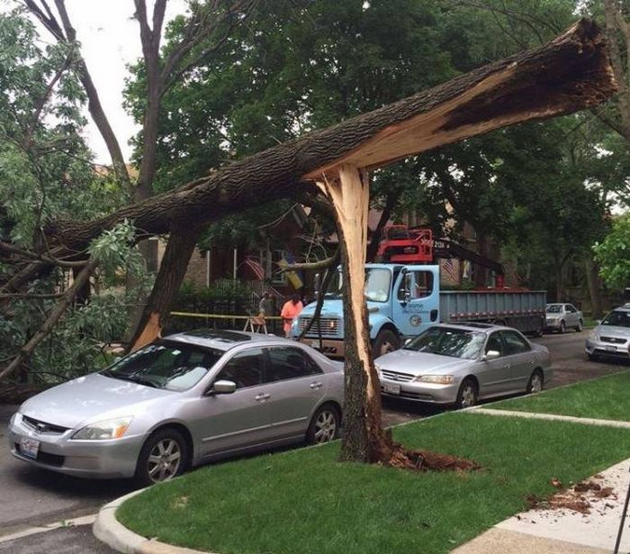 Essas 24 coincidências são brilhantes! 14