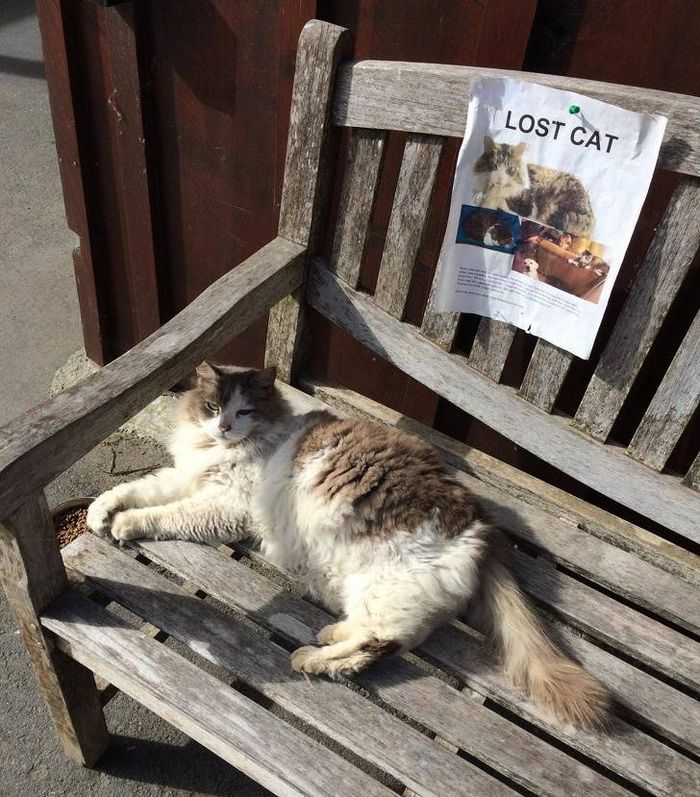 Essas 24 coincidências são brilhantes! 19