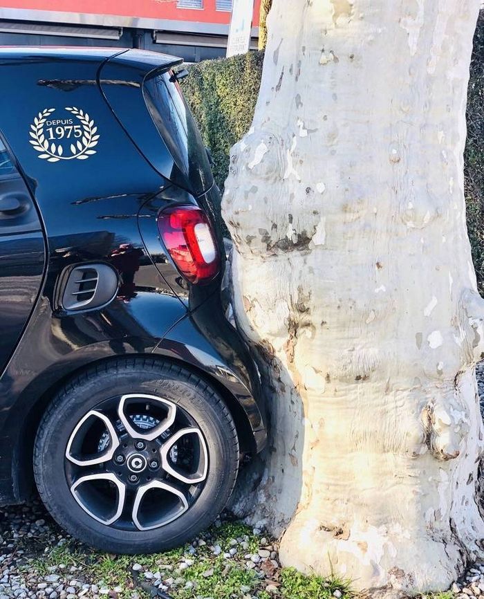 Essas 24 coincidências são brilhantes! 23