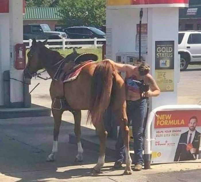 22 fotos que você só consegue explicar com uma boa dose de imaginação 8