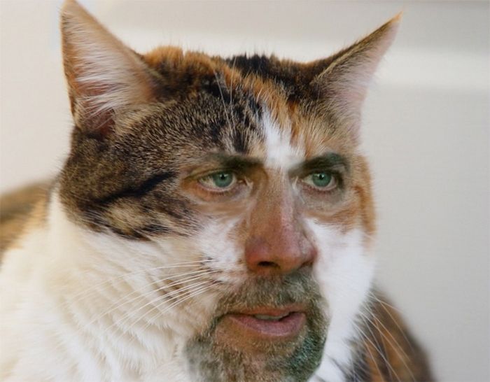 Nicolas Cage em todos os lugares (22 fotos) 3 Nicolas Cage em todos os lugares (22 fotos) 3