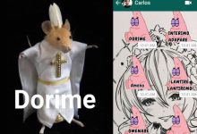 O que é o meme do Dorime? 11