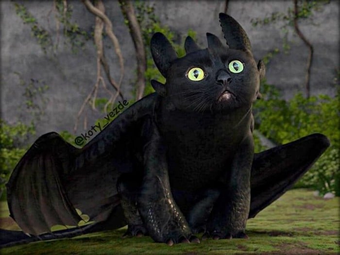 Alguém está imaginado como tudo seria se tivesse a cara de um gato e o resultado é perturbador (40 fotos) 27