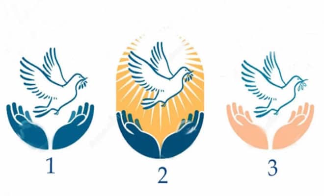 Escolha uma pomba e receba uma palavra de paz e conforto - Tediado Escolha uma pomba e receba uma palavra de paz e conforto - Tediado