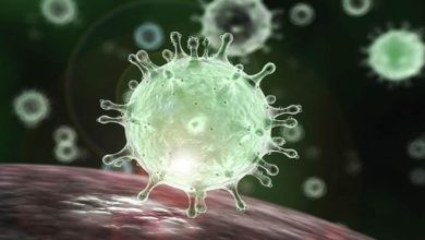 18 fatos e dúvidas sobre o novo coronavírus