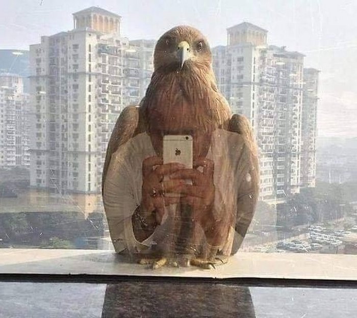 20 fotos que farão você duvidar de seus próprios olhos 15