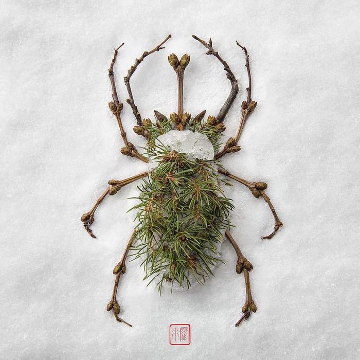 37 retratos delicados de animais criados a partir de coisas encontradas na natureza por Raku Inoue 5