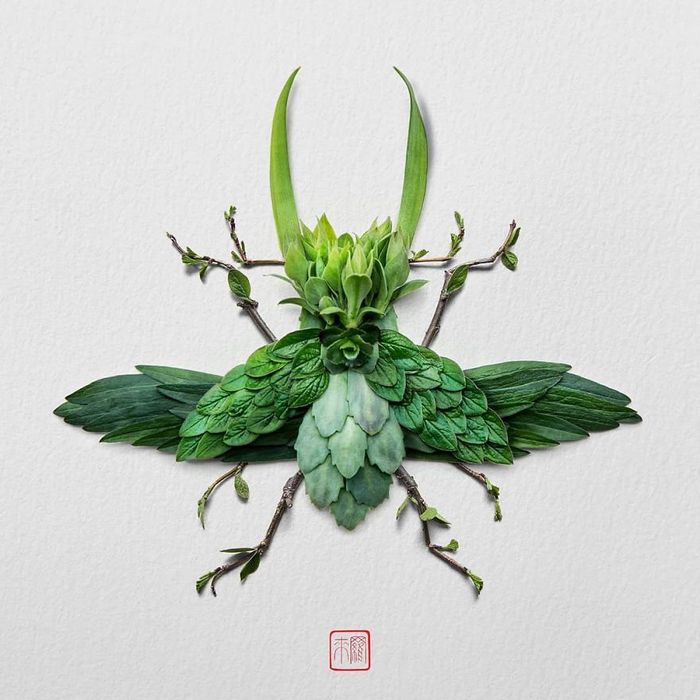 37 retratos delicados de animais criados a partir de coisas encontradas na natureza por Raku Inoue 8