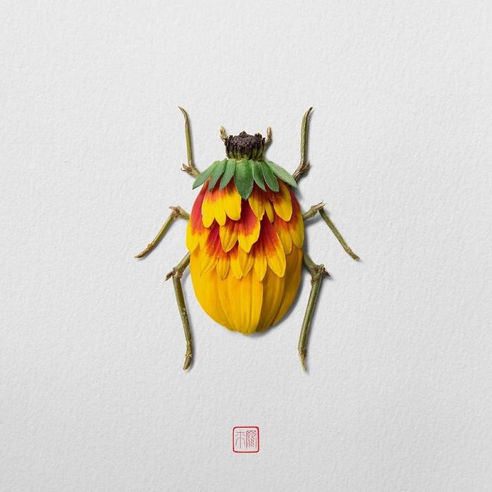 37 retratos delicados de animais criados a partir de coisas encontradas na natureza por Raku Inoue 12