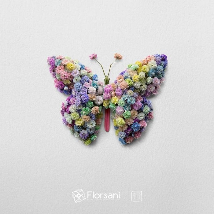 37 retratos delicados de animais criados a partir de coisas encontradas na natureza por Raku Inoue 15