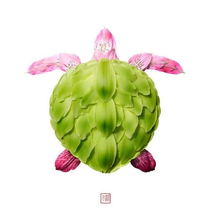 37 retratos delicados de animais criados a partir de coisas encontradas na natureza por Raku Inoue 19