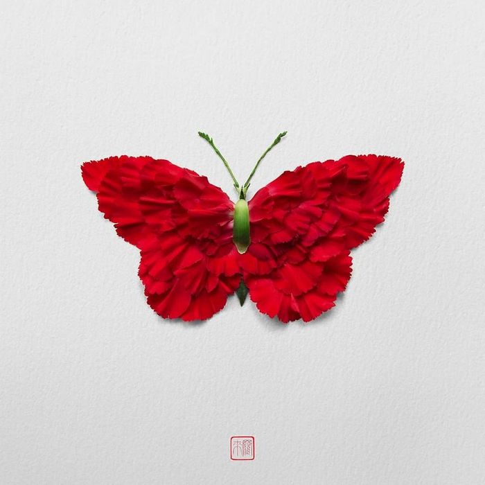 37 retratos delicados de animais criados a partir de coisas encontradas na natureza por Raku Inoue 29