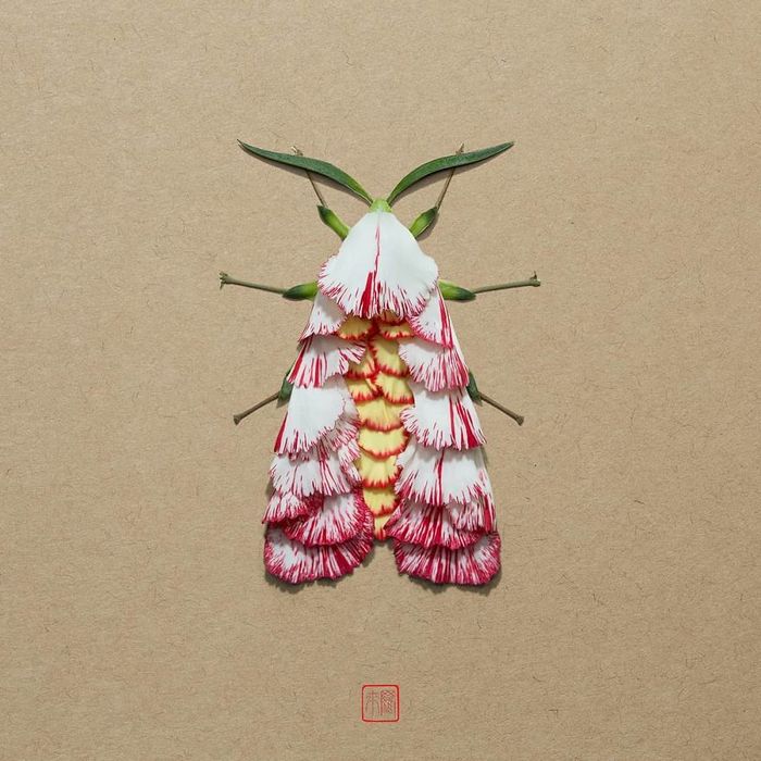 37 retratos delicados de animais criados a partir de coisas encontradas na natureza por Raku Inoue 31