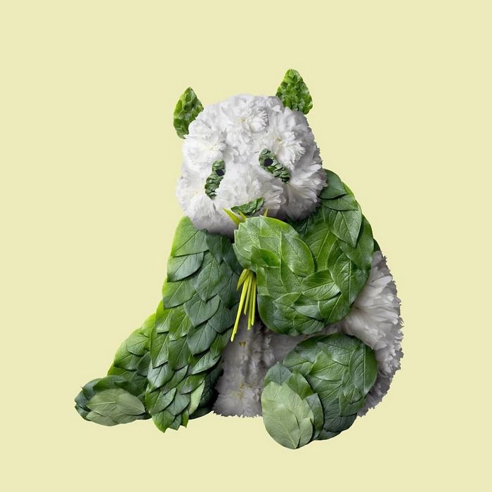 37 retratos delicados de animais criados a partir de coisas encontradas na natureza por Raku Inoue 32