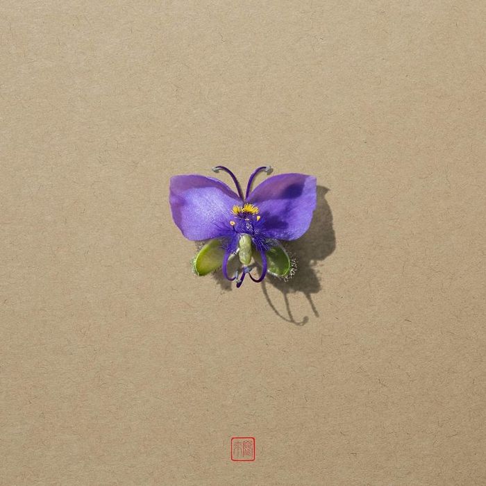 37 retratos delicados de animais criados a partir de coisas encontradas na natureza por Raku Inoue 33