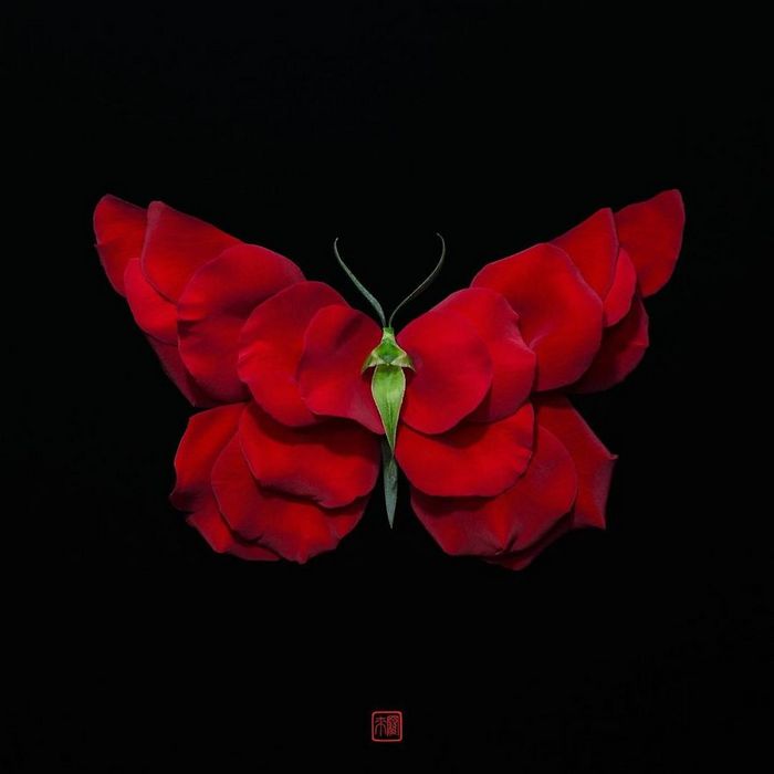 37 retratos delicados de animais criados a partir de coisas encontradas na natureza por Raku Inoue 35