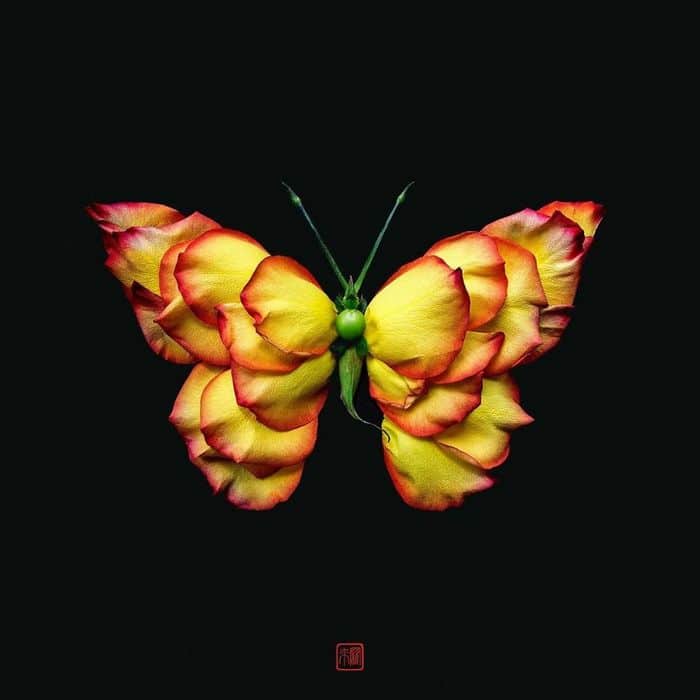 37 retratos delicados de animais criados a partir de coisas encontradas na natureza por Raku Inoue 36