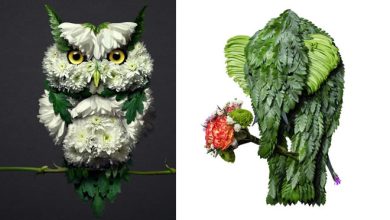 37 retratos delicados de animais criados a partir de coisas encontradas na natureza por Raku Inoue 34