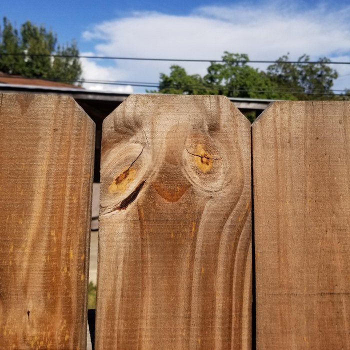 Você consegue ver rostos de bêbados nesses objetos inanimados? 17