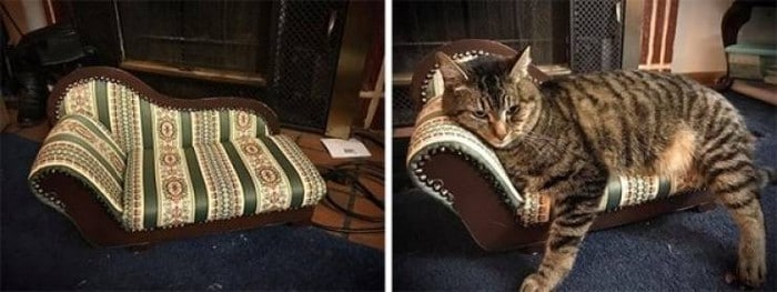 22 coisas encontradas em brechós que revelam muita imaginação 3