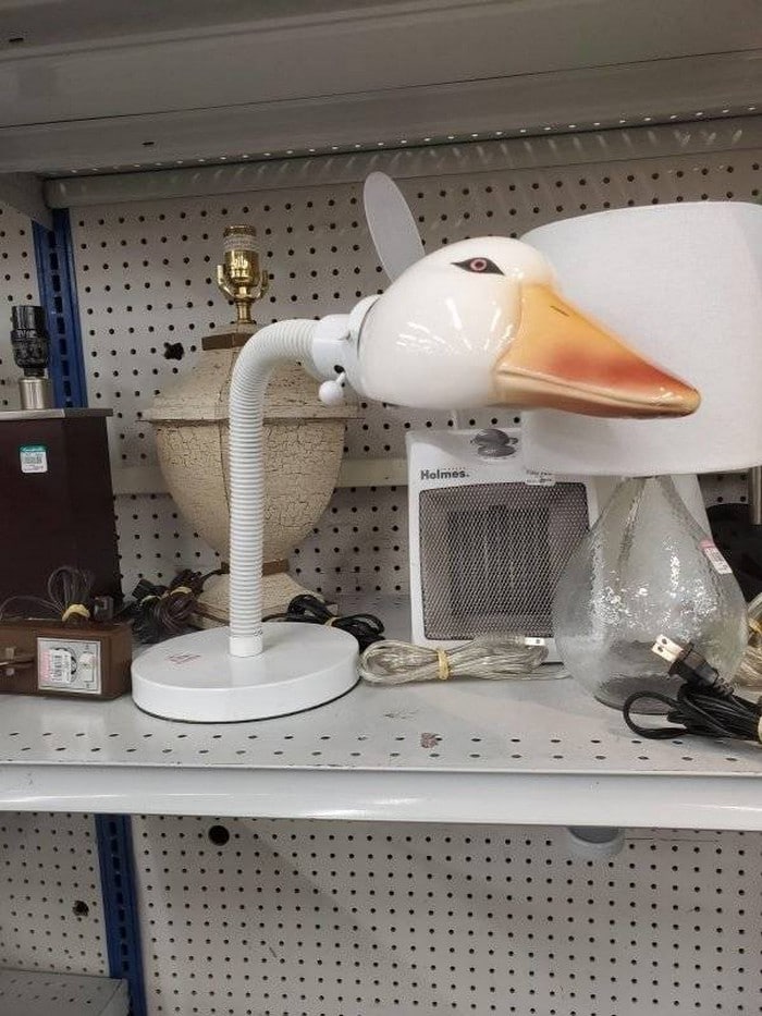 22 coisas encontradas em brechós que revelam muita imaginação 18