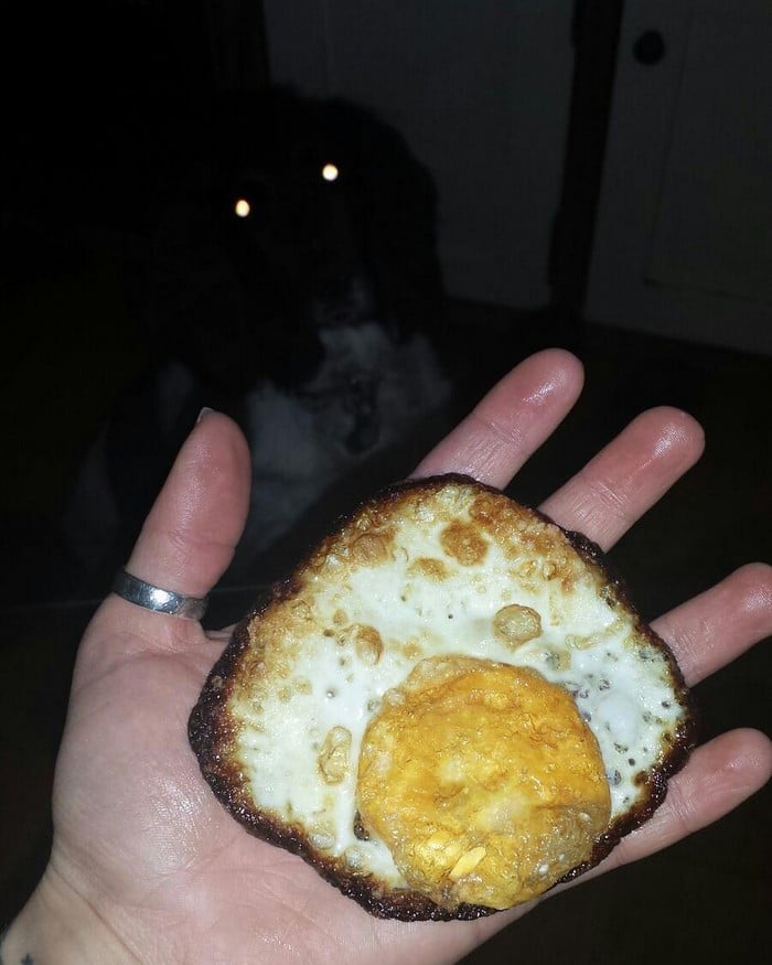 22 cozinheiros que não deveriam estar em uma cozinha sem supervisão 19