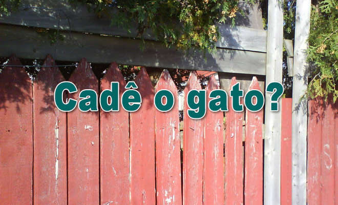Está entediado sem nada para fazer? Tente encontrar um gato em cada foto