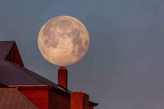 34 exemplos quando uma imagem vale mais que mil palavras 3