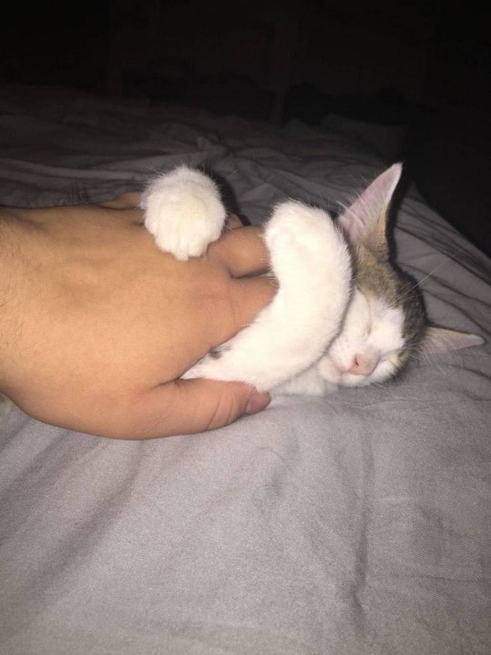 34 exemplos quando uma imagem vale mais que mil palavras 19