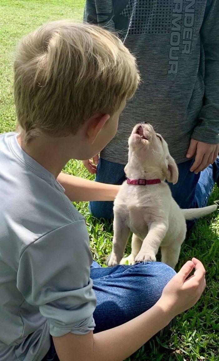 34 exemplos quando uma imagem vale mais que mil palavras 33