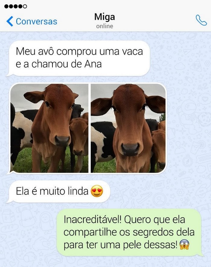 14 histórias curtas, mas repletas de humor e alegria 10 14 histórias curtas, mas repletas de humor e alegria 10