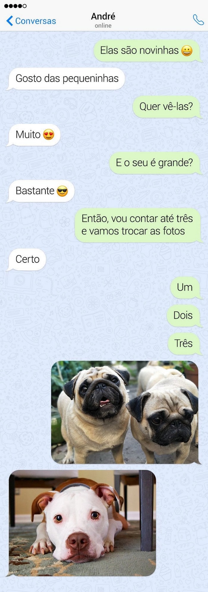 14 histórias curtas, mas repletas de humor e alegria 12 14 histórias curtas, mas repletas de humor e alegria 12