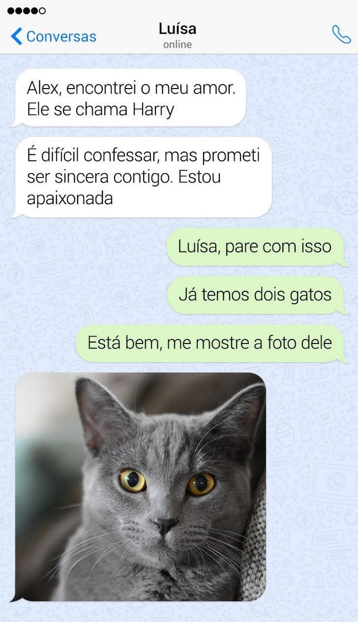 14 histórias curtas, mas repletas de humor e alegria 14 14 histórias curtas, mas repletas de humor e alegria 14