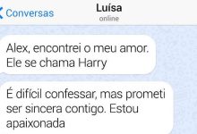 14 histórias curtas, mas repletas de humor e alegria 4