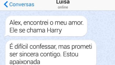 14 histórias curtas, mas repletas de humor e alegria 6